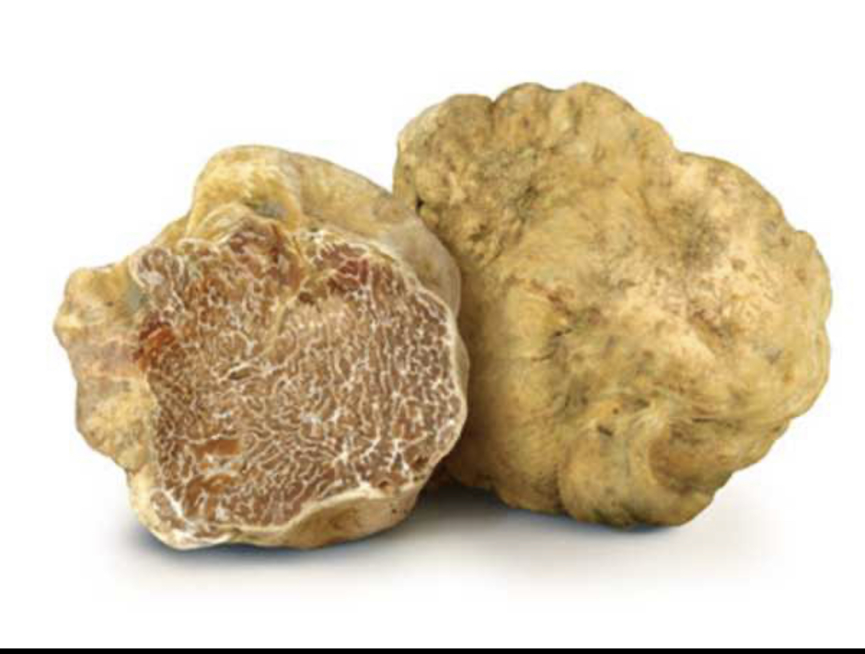 Tartufobianco